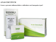 Tablet Screenshot of anascoccinum.com